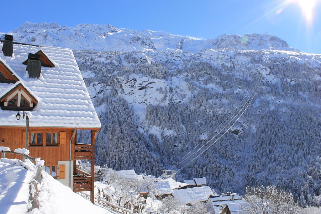 Chalet La Perle De L'Oisans - Appartements D'Exception Вожани Экстерьер фото